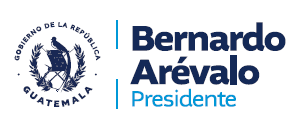 Bernardo Arévalo, Presidente