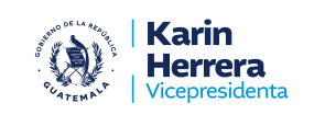 Karin Herrara, Vicepresidenta